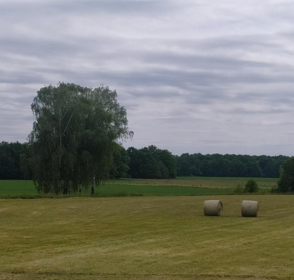 Ubytovani U Sobotku Trzeboń Zewnętrze zdjęcie